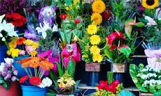 梦见有人送我签名照是什么意思