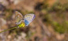 天庭饱满的人为什么会富有