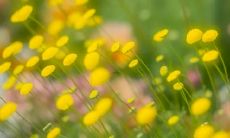 梦见自己半睡半醒什么意思