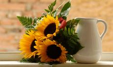 梦见搬床是什么意思