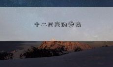 十二星座的爱情