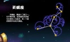 天蝎座和什么座最配？