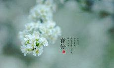 2020年春分出生的孩子是纯阴命吗？纯阴命好吗？