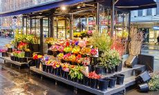 2020年5月开业黄道吉日查询，2020年5月份公司开张吉日