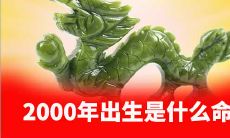 2000年出生是什么命白蜡金命