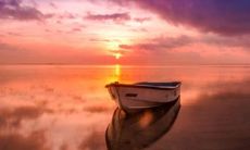 果树为什么不可以烧