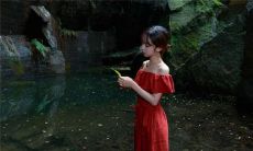 2020年牛生肖每月运程