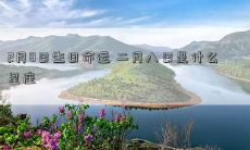 2月8日生日命运 二月八日是什么星座