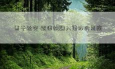 善于社交 能很快融入集体的星座