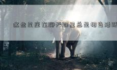 这些星座在聊天群里总是相当活跃