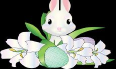 1987年属兔有孤寡命是什么说法