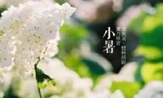 2019年小暑会不会下雨 小暑各地气候特征是什么？