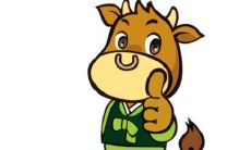 1997年生肖牛学业运势如何？