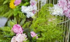 2006年2月初九是什么星座双