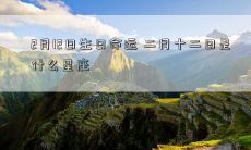 2月12日生日命运 二月十二日是什么星座