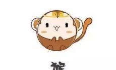 生肖猴和生肖牛的合财吗？