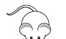 出生于鼠年的人一生中的命运如何？