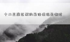 十二星座匹配的最佳情侣是哪对