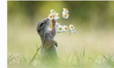 辛丑年生壁上土命好不好