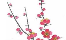 72生肖鼠男2022年全年运势