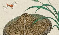 属虎2022年如何化解