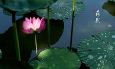 2020年农历五月初七出生的女孩命运如何？起什么名字好？