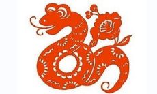 属蛇的本命财神是什么 财神方位