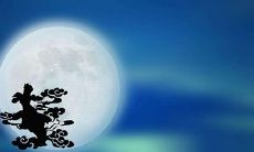 1992年属猴中秋节出生的人命运是好是坏？