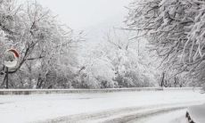 梦见下雪了
