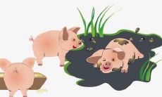 梦见猪圈是什么意思？