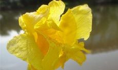 水瓶座有哪些避暑的高招