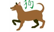 属狗男人和属猪女人相配如何？