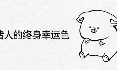 属猪人的终身幸运色