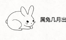 属兔几月出生最有福气