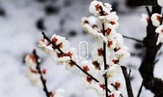 2019年立冬是几点几分？立冬是第几个节气？