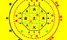八字看命准不准