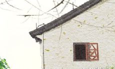 通过八字配婚十个重点方法大全看看