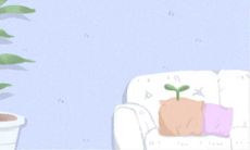 八字弱运势差怎么才能在2019年之前转运