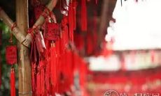 命理|教你看八字自测姻缘,原来命中的人是TA!