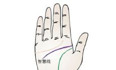事业有成的男人手相