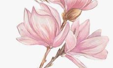 兔兔本命年送什么男生