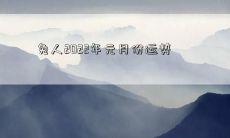 兔人2022年元月份运势