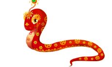 属蛇的人性格特点是什么 头脑精明目的明确