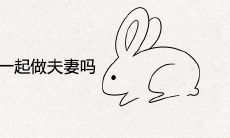 属猪和属兔适合在一起做夫妻吗