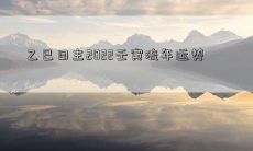 乙巳日主2022壬寅流年运势