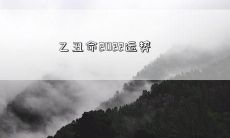 乙丑命2022运势