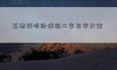 王者好听的情侣二字名字大全