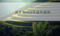 丙火在2022年虎年运势