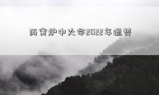 丙寅炉中火命2022年运势