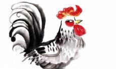 属鸡五行缺土的女孩名字